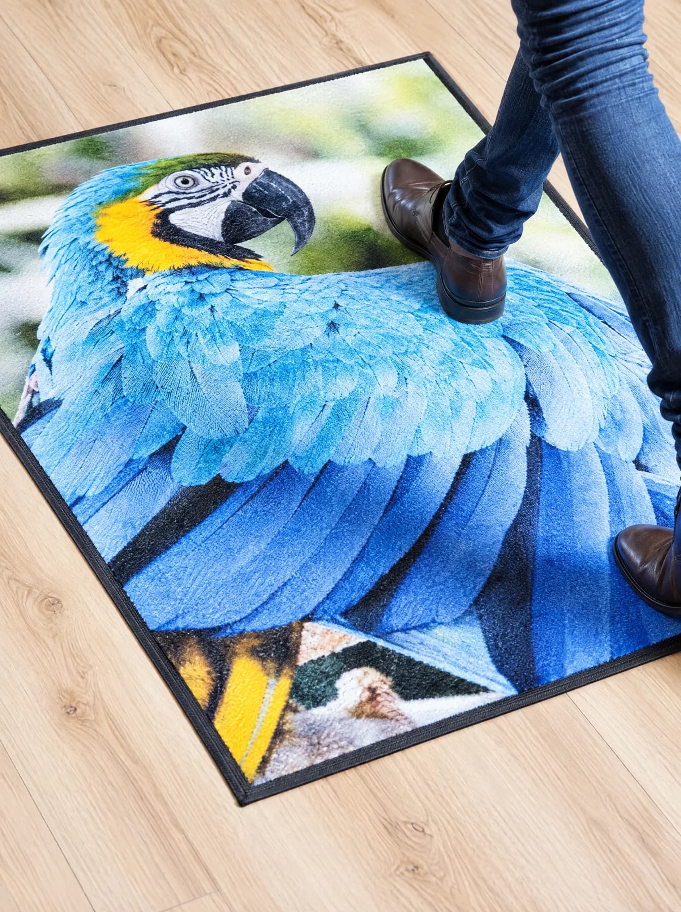 Illustration : Colorstar imprimé d’un perroquet bleu et jaune sur un sol en bois