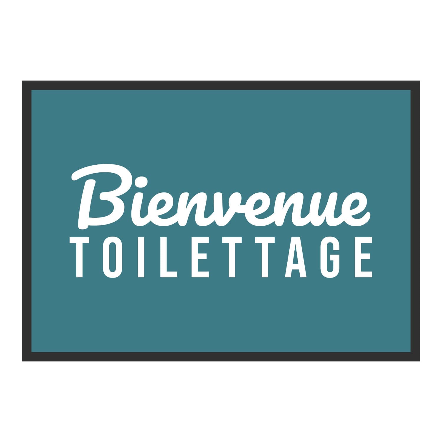 Vue du tapis Bienvenue toilettage dans son format et ses couleurs de départ