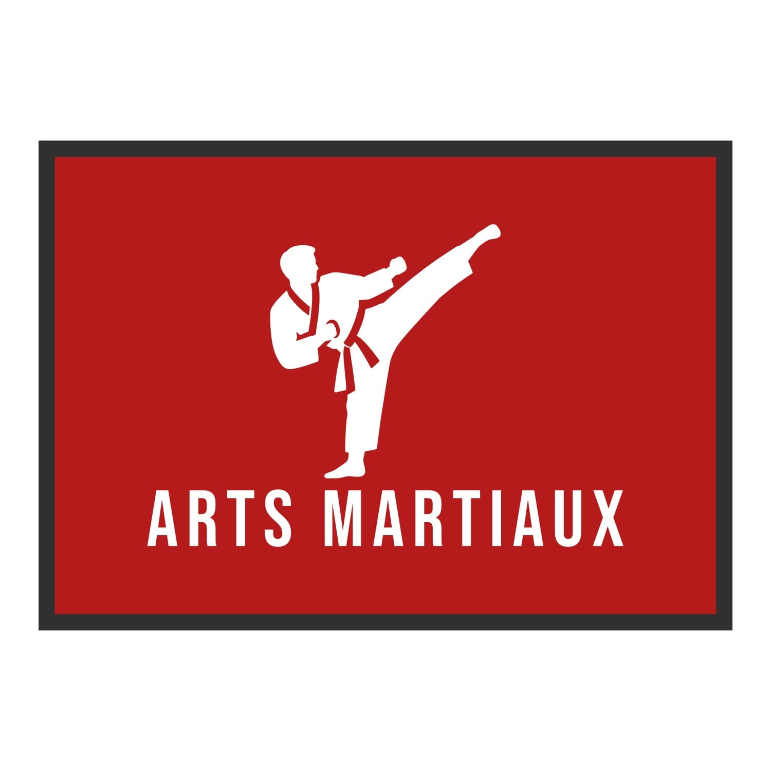Vue du tapis Coup de pied Arts martiaux dans son format et ses couleurs de départ