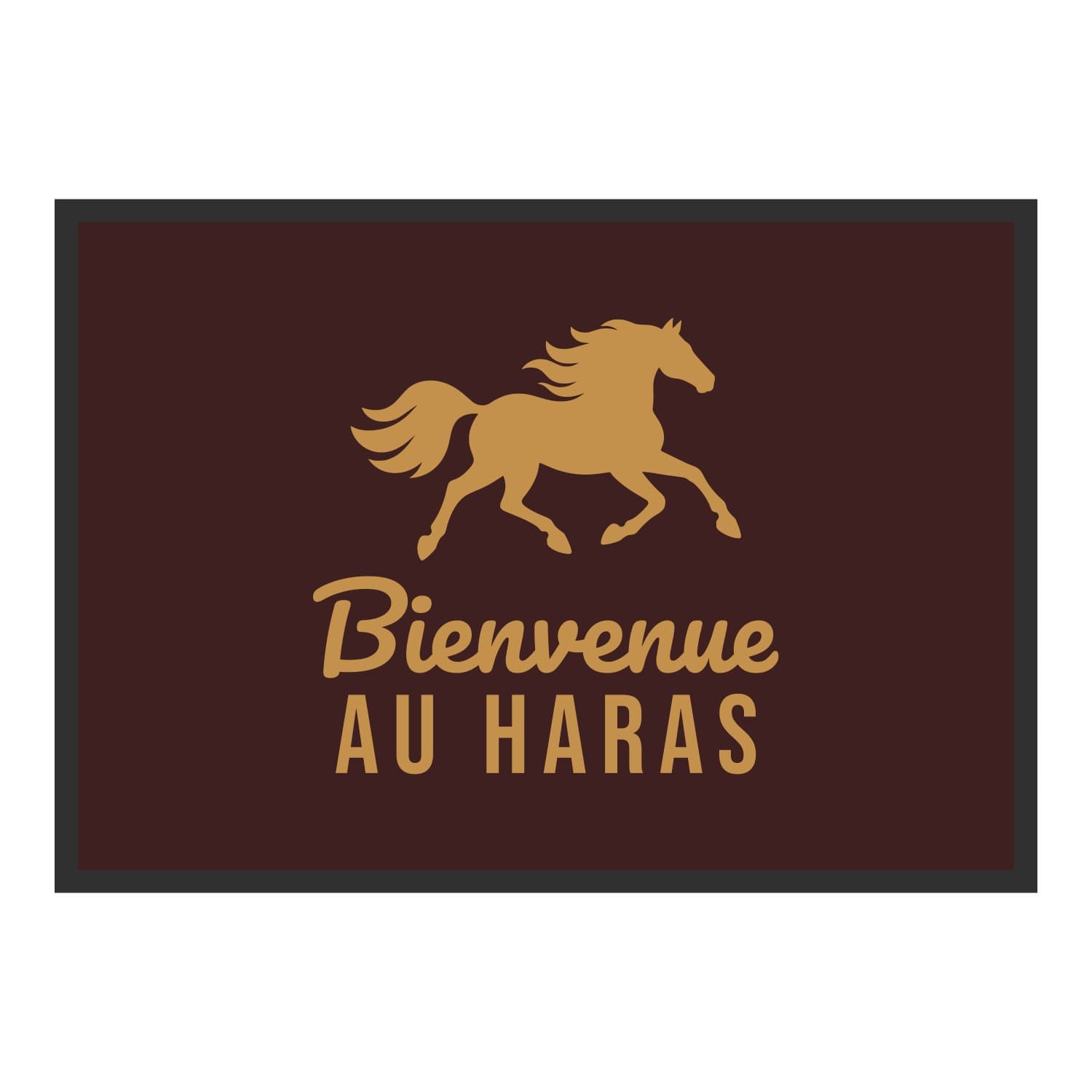 Vue du tapis Bienvenue au haras dans son format et ses couleurs de départ