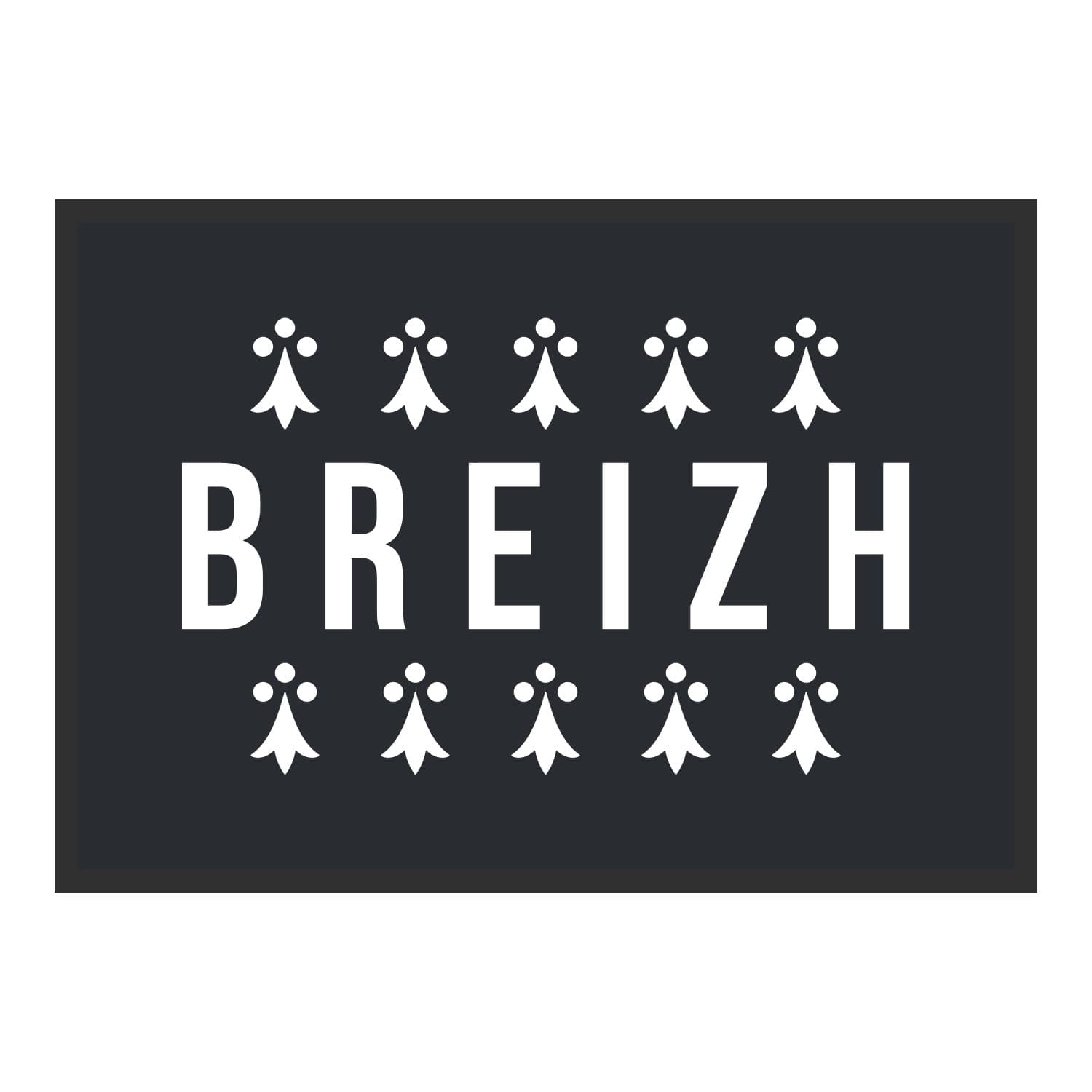 Vue du tapis Breizh hermines dans son format et ses couleurs de départ