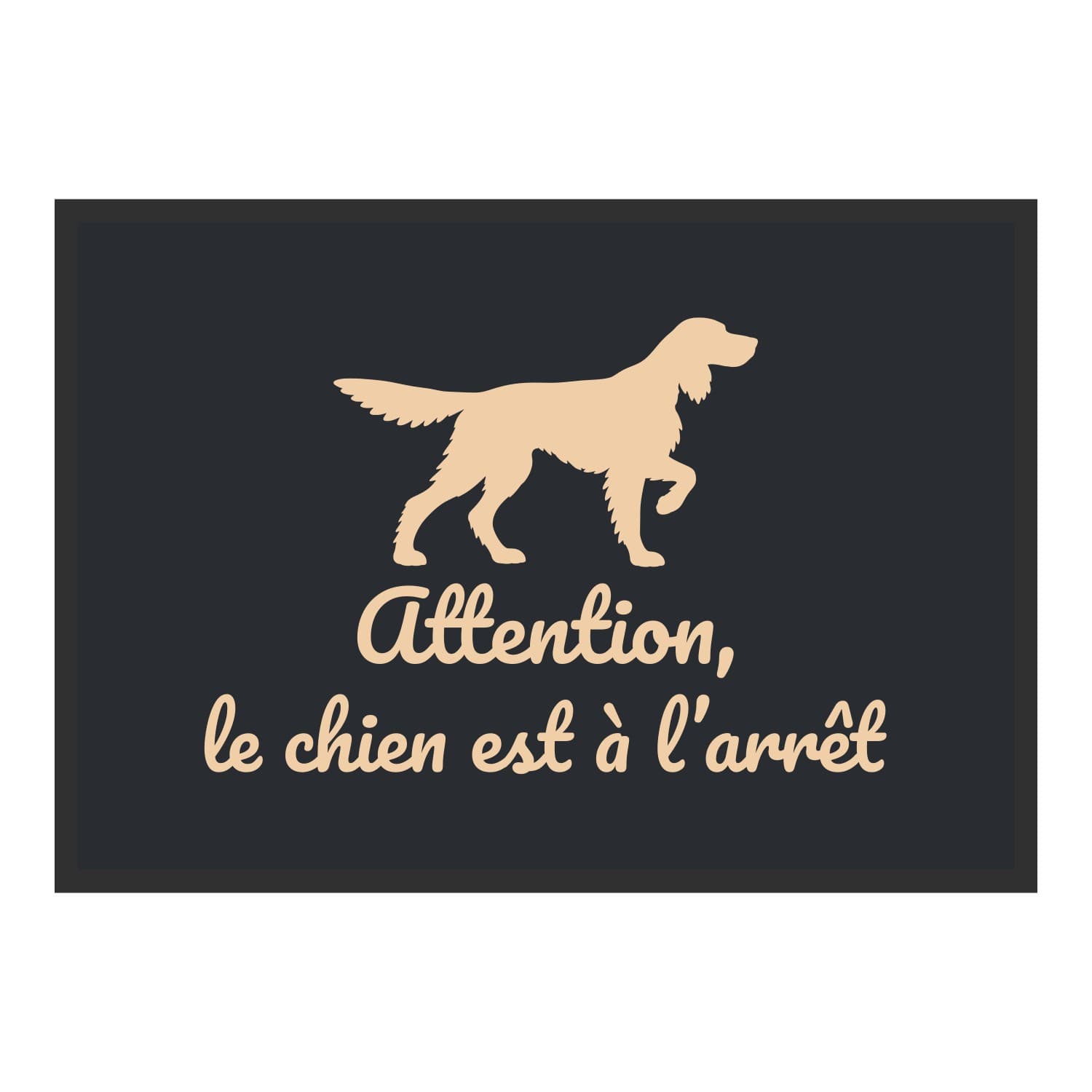 Vue du tapis Attention, le chien est à l’arrêt dans son format et ses couleurs de départ