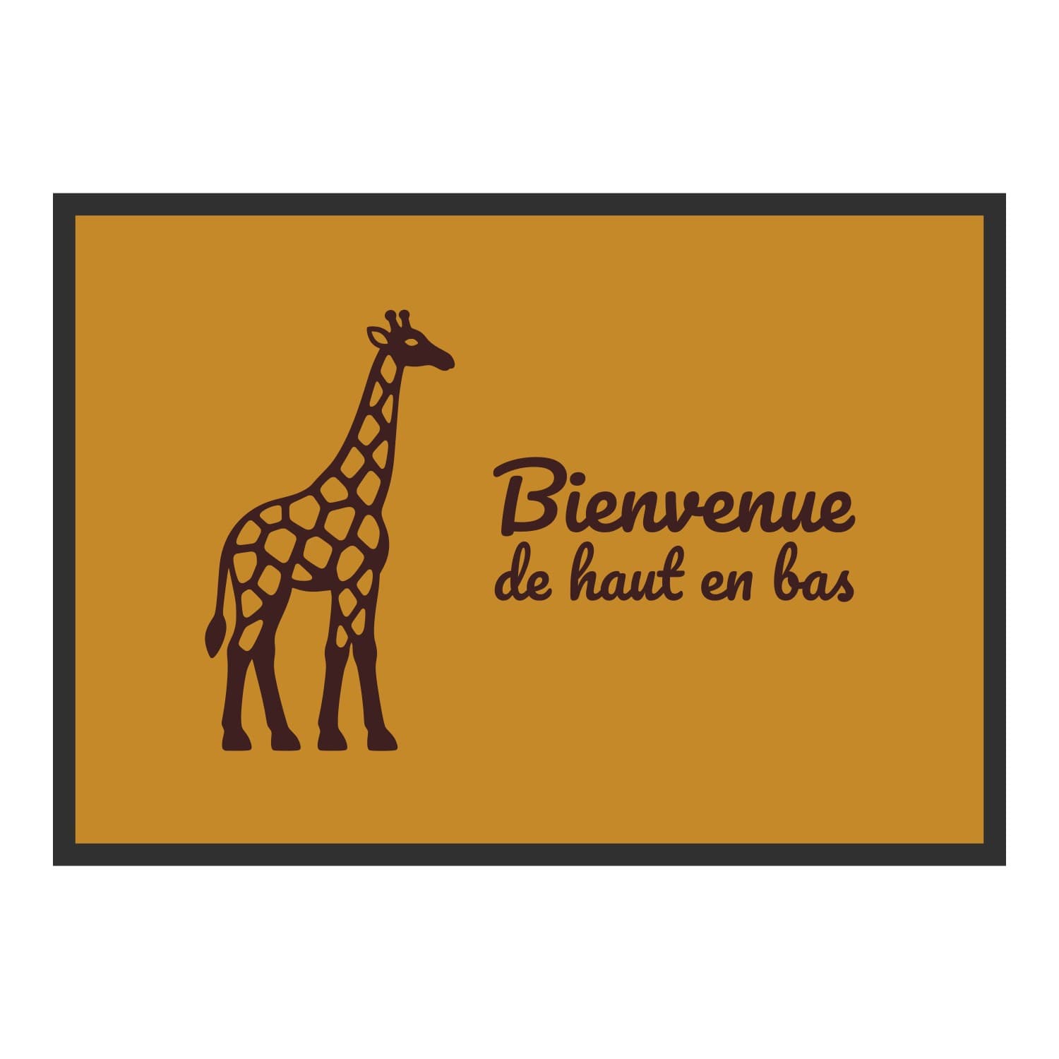 Vue du tapis Bienvenue de haut en bas dans son format et ses couleurs de départ