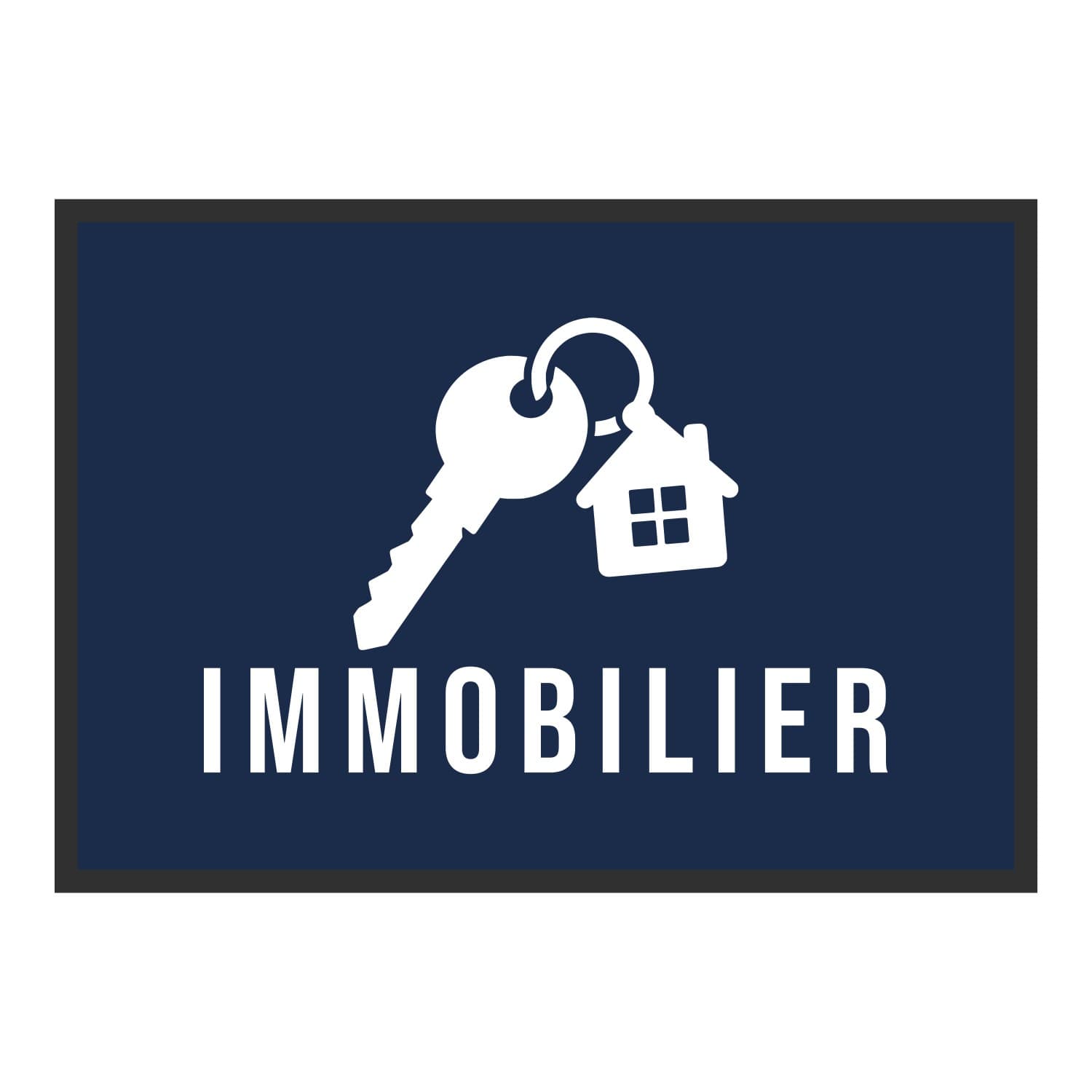 Vue du tapis Immobilier dans son format et ses couleurs de départ