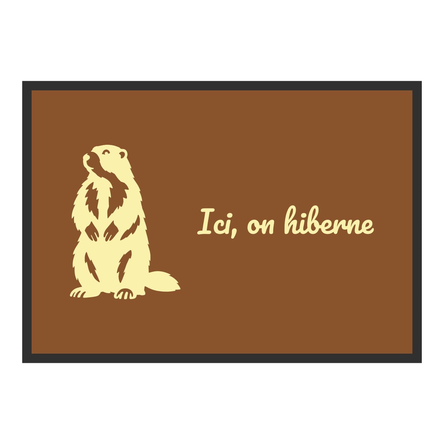 Vue du tapis Ici, on hiberne dans son format et ses couleurs de départ