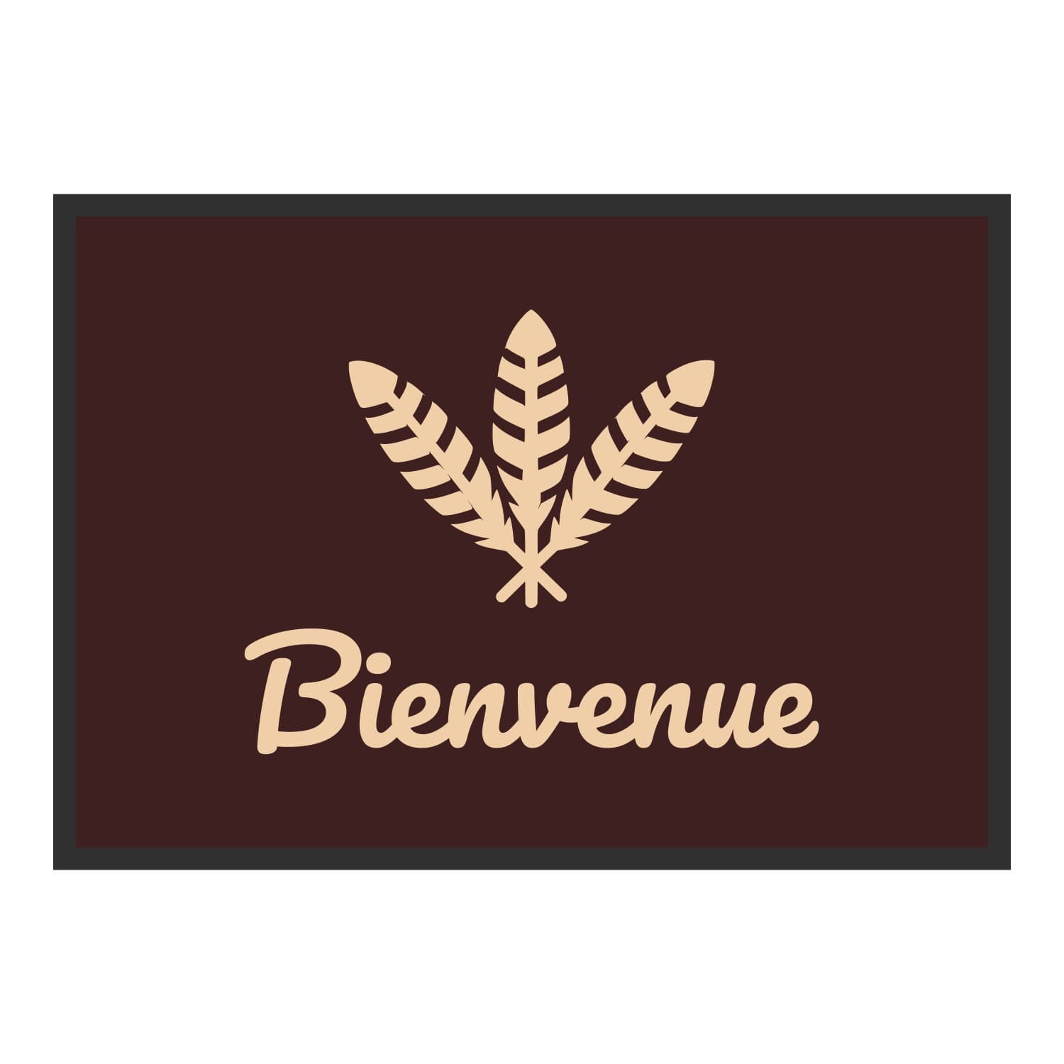 Vue du tapis Plumes Bienvenue dans son format et ses couleurs de départ