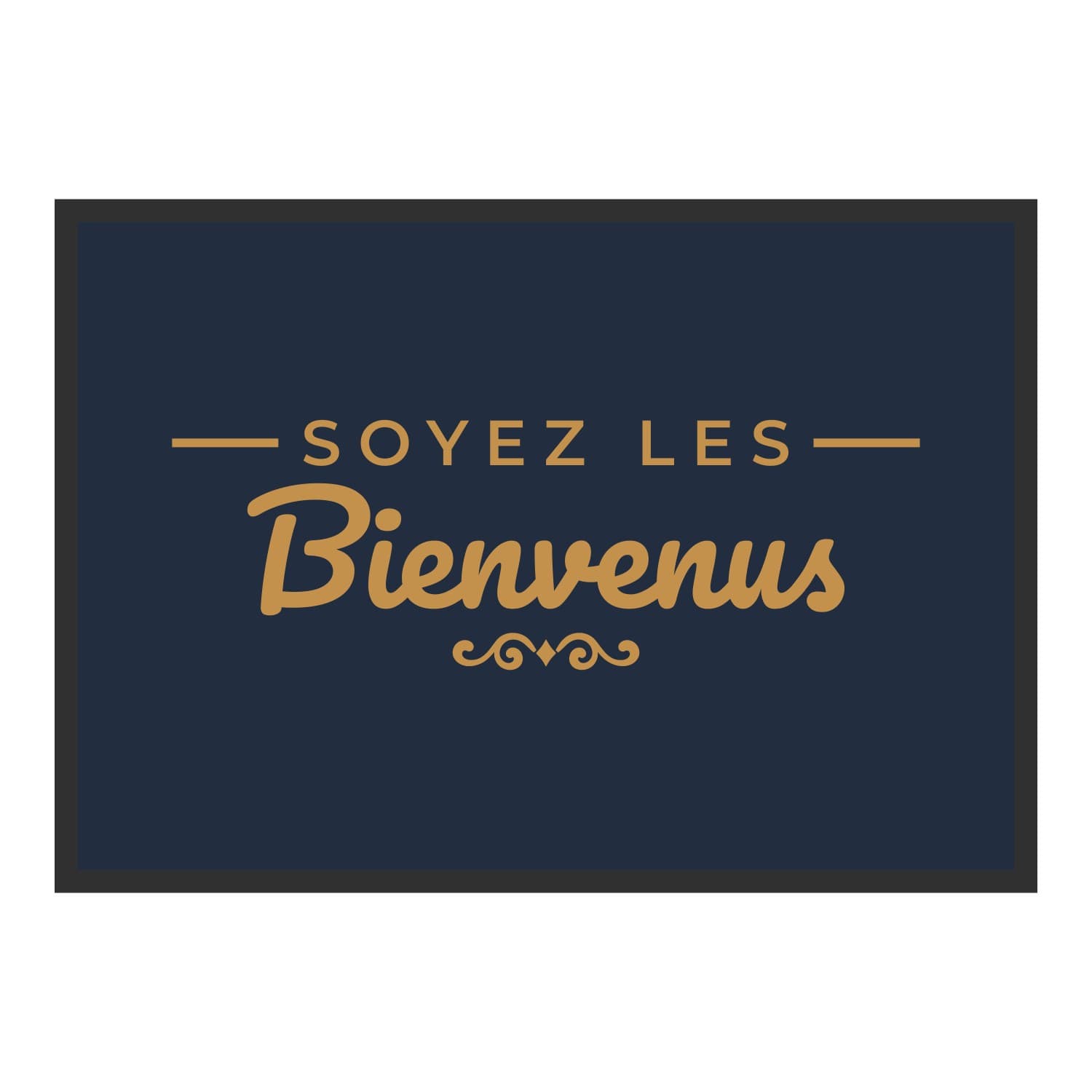 Vue du tapis Soyez les bienvenus dans son format et ses couleurs de départ