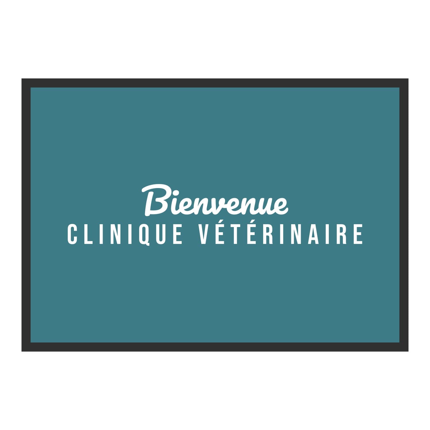 Vue du tapis Bienvenue clinique vétérinaire dans son format et ses couleurs de départ