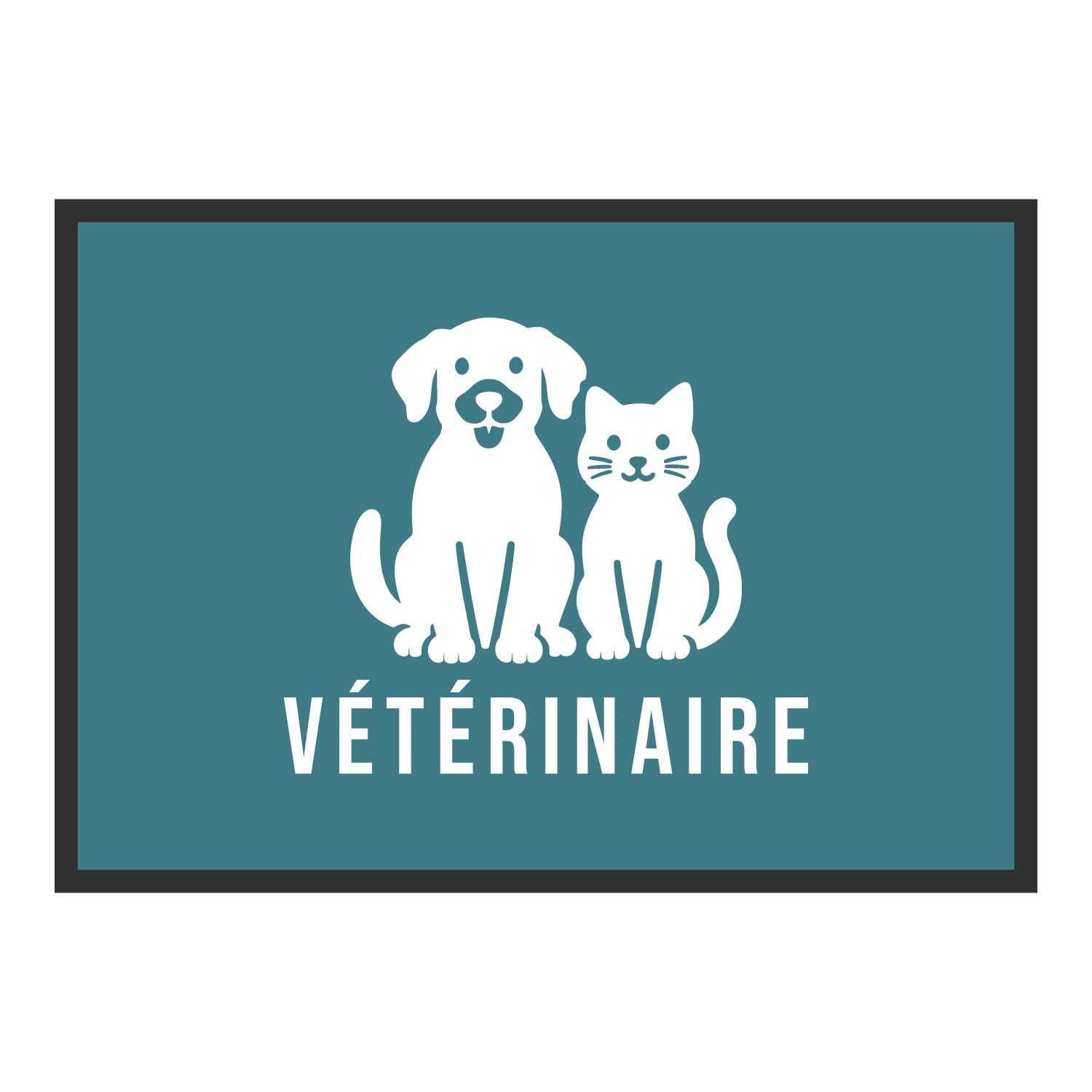 Vue du tapis Chien et chat Vétérinaire dans son format et ses couleurs de départ