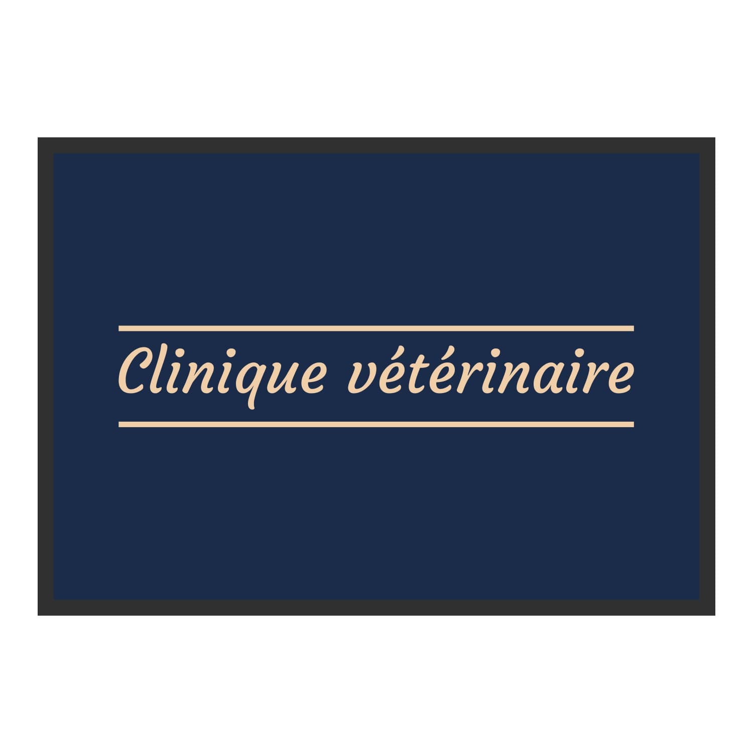 Vue du tapis Clinique vétérinaire classique dans son format et ses couleurs de départ